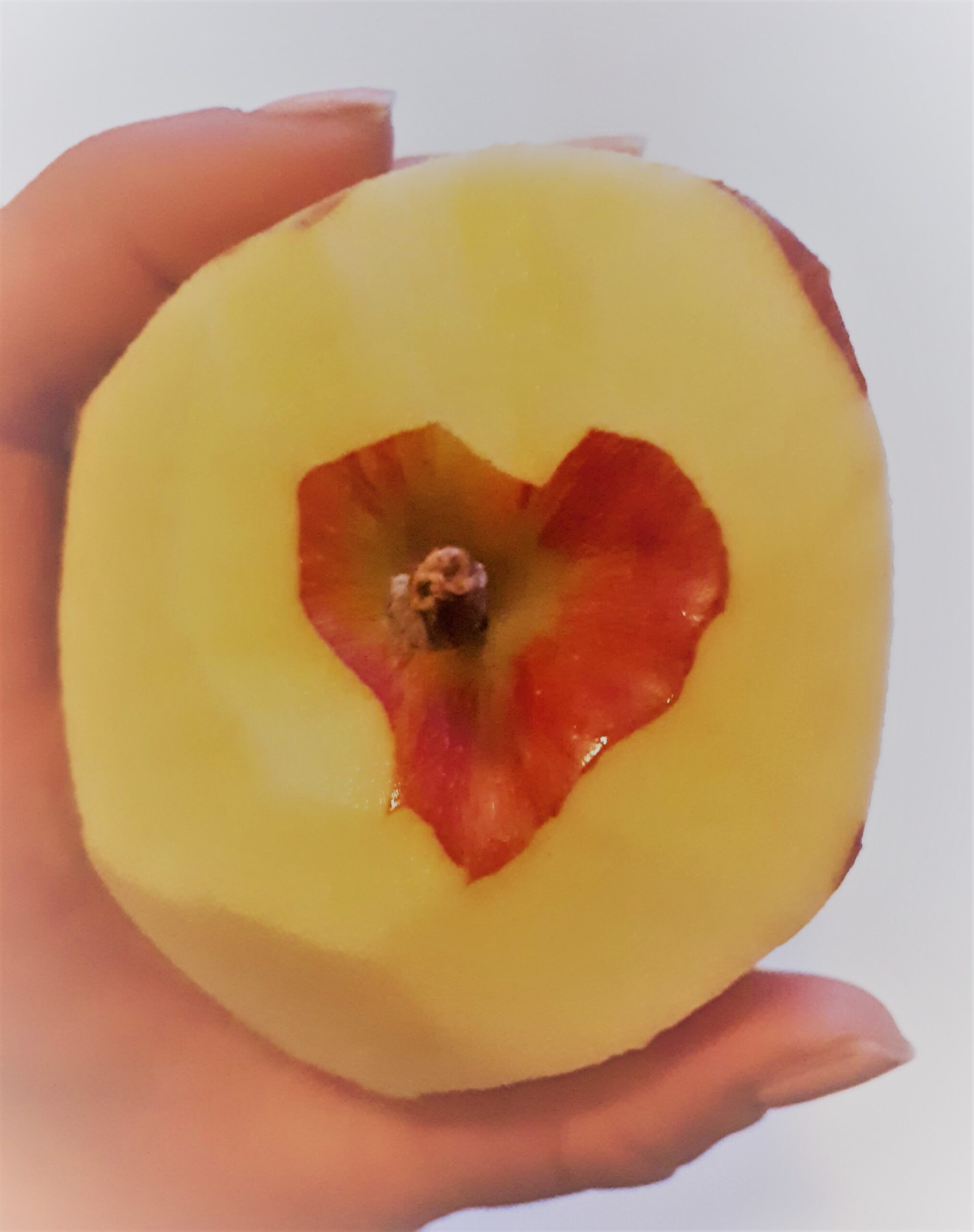 Dramska igra “Dnevnici Adama i Eve”