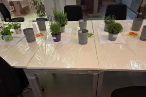 Stol sa sadnicama aromatičnih biljaka, vrećicama sjemena i teglicama