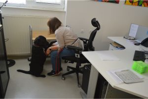 Vodičica Tilla, četveročlani pridruženi član komisije za točnost i brzinu u kategoriji odraslih, uz Ivanu Vinko